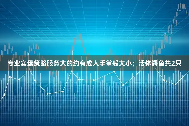 专业实盘策略服务大的约有成人手掌般大小；活体鳄鱼共2只